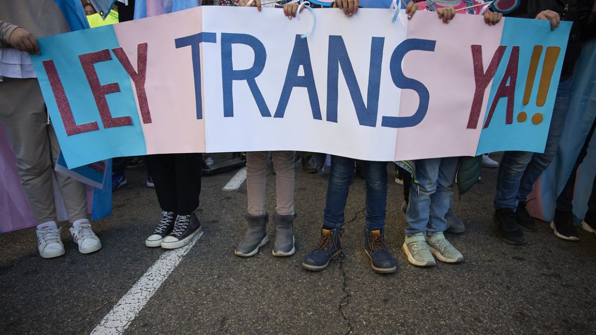Un grupo de niños en una manifestación por la ley trans.