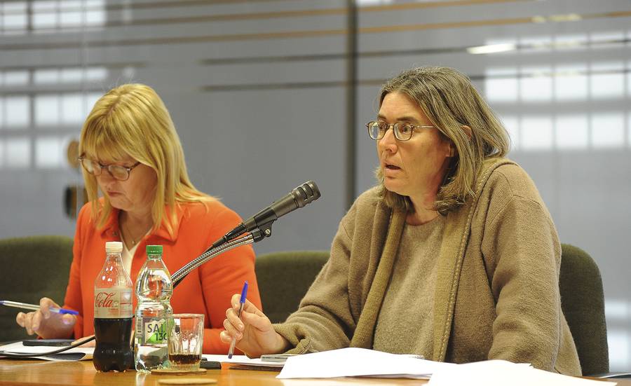 Cristina Lustemberg y Nibia Reisch en Comisión de Salud (06.09.2022).. Foto: Federico Gutiérrez