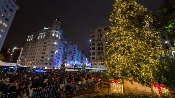 El árbol de Navidad colocado en la Plaza de España. (EFE/Fernando Villar)