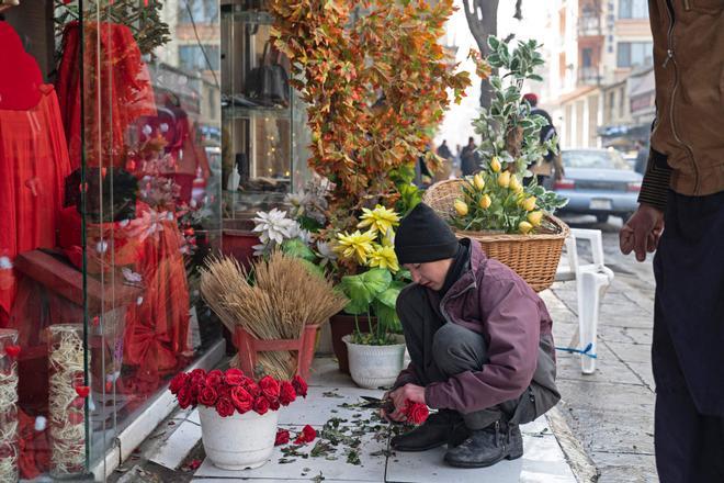 Un vendedor quita las espinas de las rosas en Kabul. /