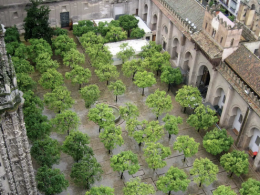 Patio de los Naranjos de la catedral de Sevilla