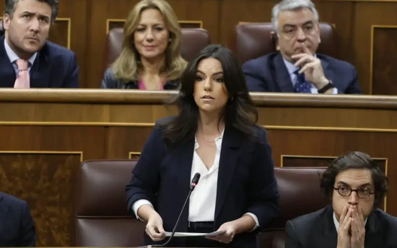 La diputada de Vix, María José Rodríguez de Millán, en el Congreso de los Diputados.