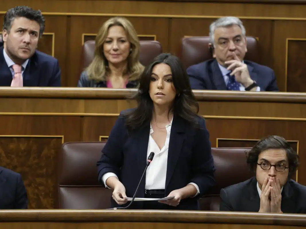 La diputada de Vix, María José Rodríguez de Millán, en el Congreso de los Diputados.