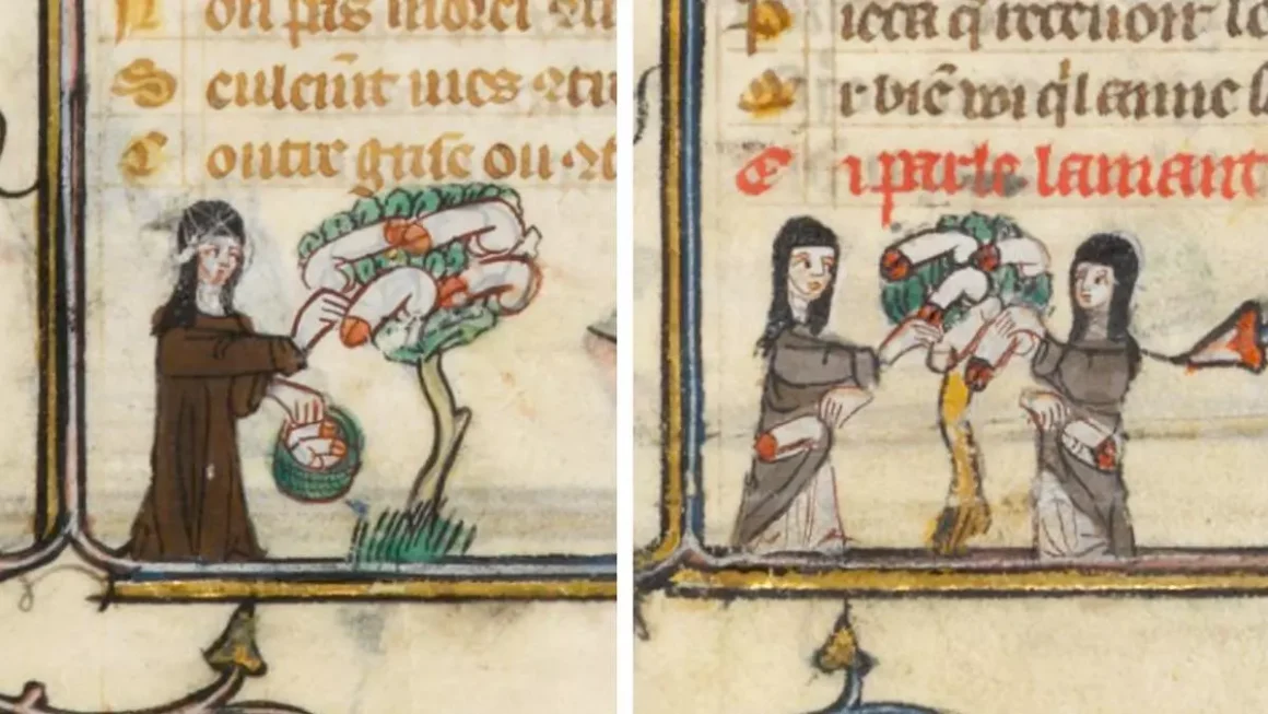 Imágenes de brujería y hechicería en un cartulario medieval Cedida por Tulaytula