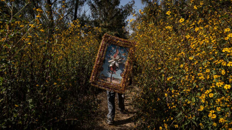 Un hombre peregrina por el Estado de México para celebrar el día de la Virgen de Guadalupe.Nayeli Cruz