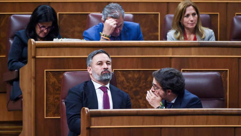 Santiago Abascal, líder de Vox, en el Congreso de los Diputado. EP