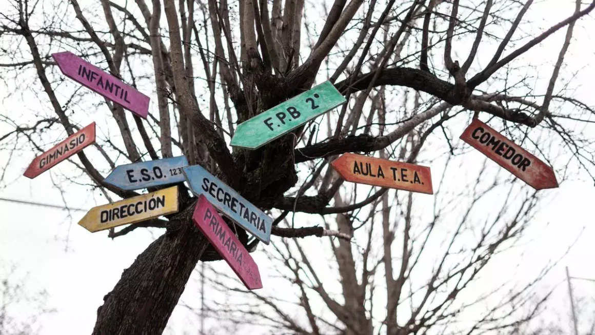 Un árbol en el patio del colegio Trabenco-Pozo, en el barrio de Entrevías de Madrid ANA BELTRÁN