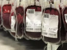 Bolsas de donación de sangre en una imagen de archivo Junta de Andalucía