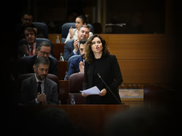 La presidenta de la Comunidad de Madrid, Isabel Díaz Ayuso, interviene durante un pleno en la Asamblea de Madrid, a 21 de noviembre de 2024.Fernando Sánchez - Europa Press (Europa Press)