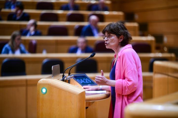 La senadora del BNG, Carme da Silva, en el Senado.