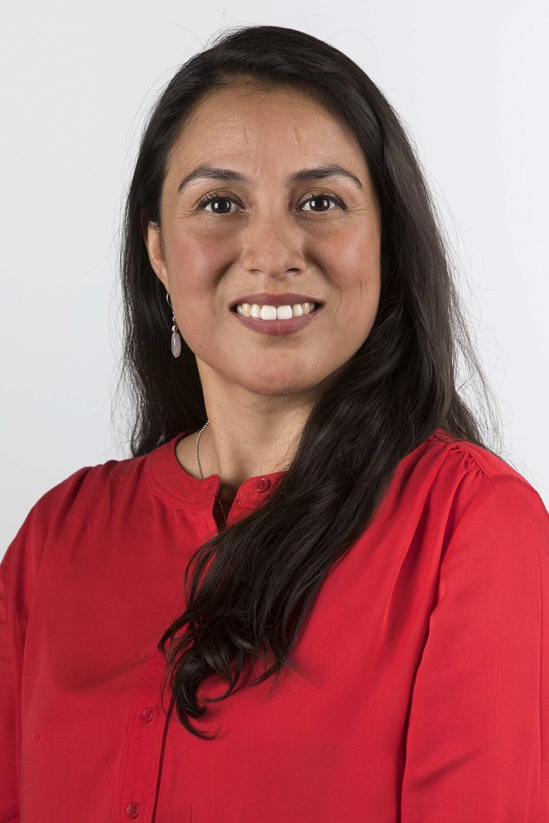 Fotografía oficial de diputado Francesca Núñez