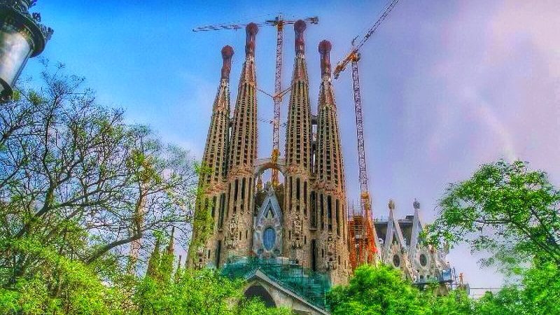 alyssa BLACK. la sagrada familia