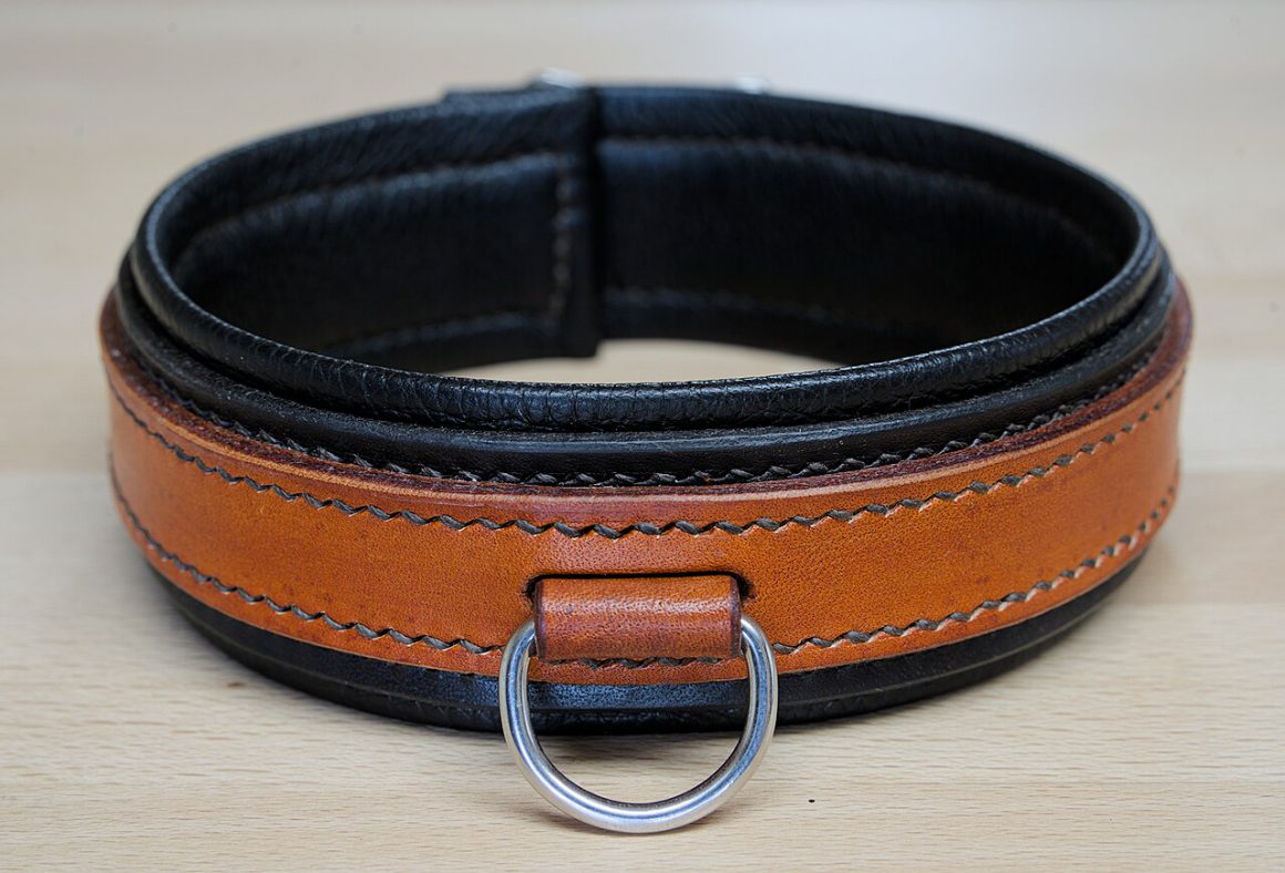 Collar BDSM