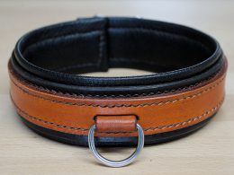 Collar BDSM