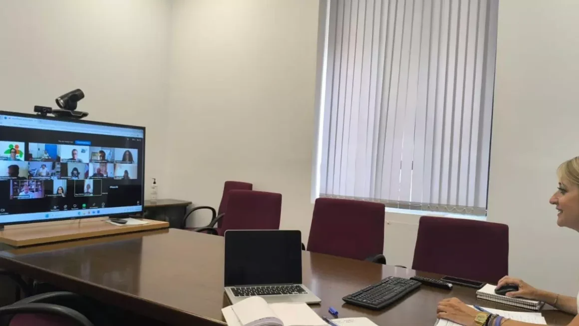 Imagen de la videoconferencia con Cepaim, Murcia Acoge, Cruz Roja, Cáritas, Accem, UGT y CC OO. / L.O.